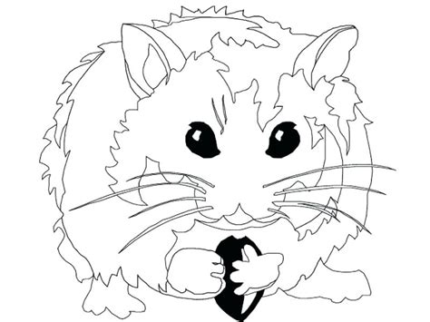 Print all of our hamster coloring pages and bring these little guys to life with your creativity. Dwarf Hamster Coloring Pages at GetColorings.com | Free ...