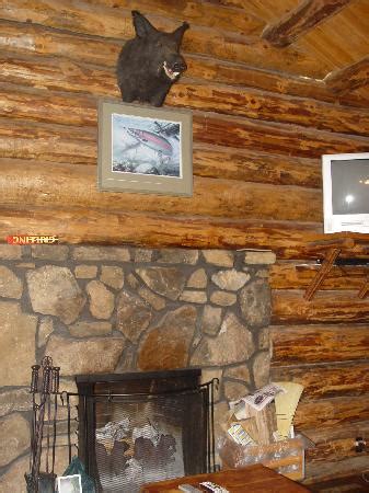 The dogwood luxury cabin rentals are on the site of a civil war encampment known as camp dogwood at dogwood gap. visit dogwood luxury cabin rentals to have an adventurous. Dogwood Canyon Cabin - Picture of Dogwood Canyon Nature ...