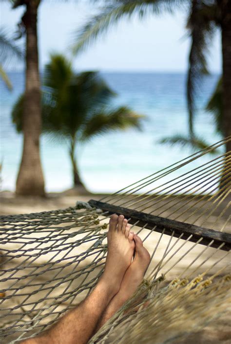 Subscriptions available for just $39.00. Man relaxing in a hammock | Cropped view image of male ...