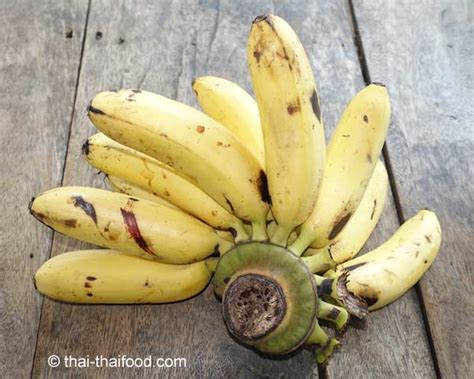 Thai Bananen (Kluai) | กล้วย - und Rezepte - thai-thaifood.de