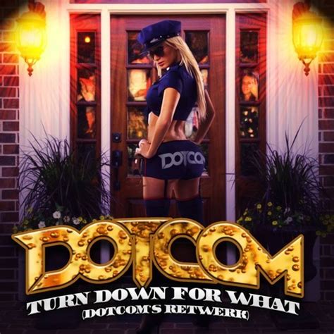 Remix con dj pajaro herrera. DJ Snake feat. Lil Jon - Turn Down For What (Dotcom's Retwerk)