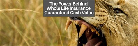 The Power Behind Whole Life Guaranteed Cash Value