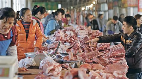 Investing in companies earning a minimal amount of interest, typically 5. China to invest in Pakistan's Halal meat industry ...