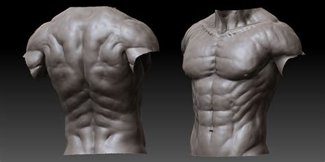 See more ideas about anatomy reference, anatomy, anatomy for artists. Dante by Attila Mucsi - 3DTotal Forums