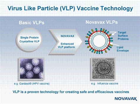 Our vaccine technology combines the power and speed of genetic engineering with the. SEC Filing | Novavax Inc. - IR Site