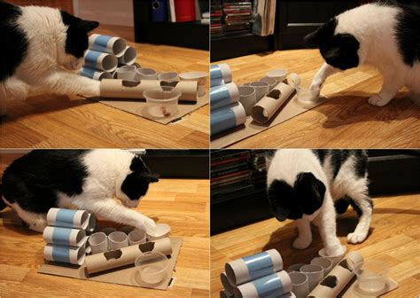 DIY Puzzle Feeder for Cats | Cat feeder diy, Cat puzzle ...