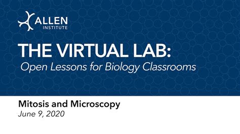 Mitosis in onion root tip. The Virtual Science Lab | Mitosis and Microscopy - YouTube