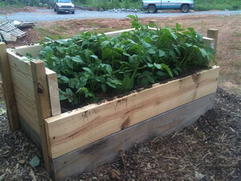 I show you how to build a potato bin from a repurposed table, my son obtained from a nordstrom's rack. Our. . . ..................Suburban ...