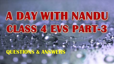 You will find all the comprehensive collection of questions with solutions in these worksheets which will help you to revise complete. A DAY WITH NANDU PART-3 | MCQ | SA, LA | CLass 4 EVS ...