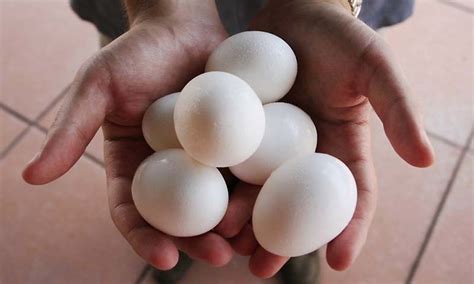 Price $102.88 per metric ton. Eggs rate in Lahore's open market breaks records ...