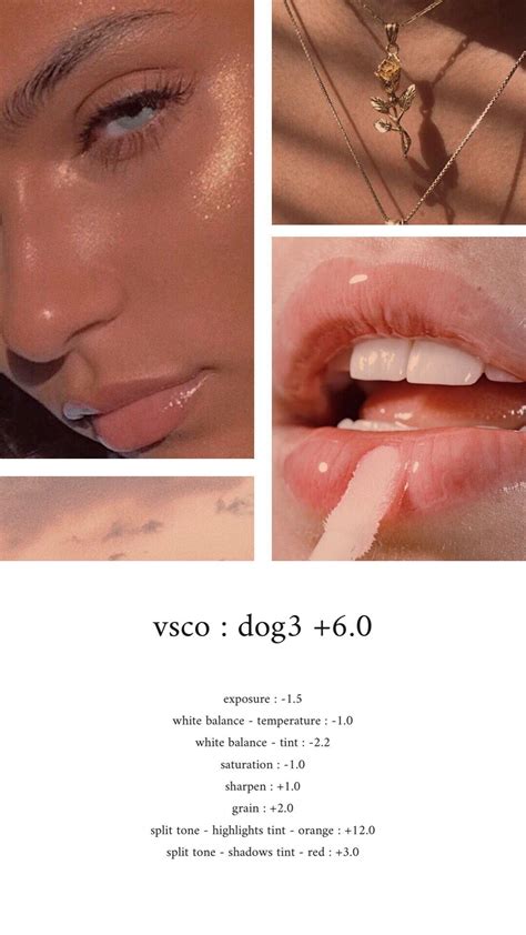 Vsco cam has minimalistic design, a set of filters (which they call presets) and some easy editing tools. photo display,camera settings,photo tricks,camera tricks ...