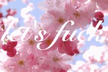 Nevermind the bollocks ou plutot, let's fuck. Lets Fuck GIFs | Tenor