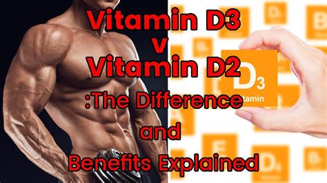 Difference between vitamin d and vitamin d3: Vitamin D3 v D2: The Difference and Benefits Explained