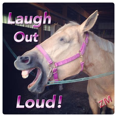 The ways you make her laugh in real life don't work over text. Laugh Out Loud! | Laugh out loud, Funny horses, Laugh