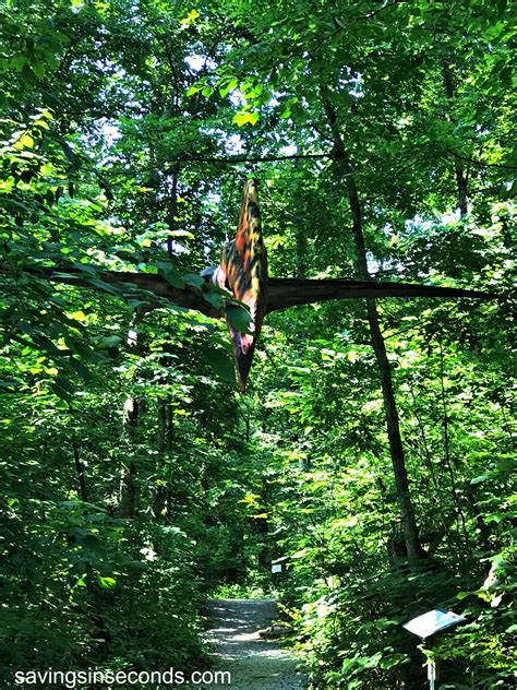 Phone food city is the go to place for groceries and plus i used to be a customer service coordinator for a local food city in church hill many years ago. Backyard Terrors Dinosaur Park in Blountville TN - Savings ...