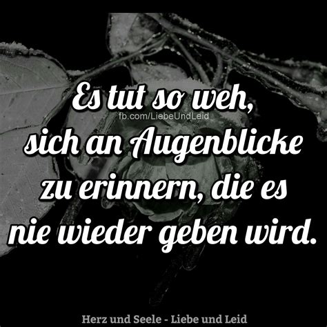 Salamander soll glühen, undene sich winden, sylphe verschwinden ich hab ihm noch nicht weh getan. Es tut so weh, sich an… | Lebensweisheiten, Nachdenkliche ...