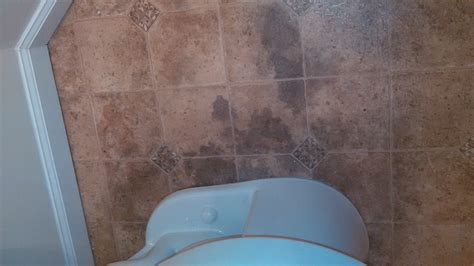 These stains typically indicate the presence of mold or mildew,. Is this black mold?? (flooring, vinyl, laminate, color) - House -remodeling, decorating ...