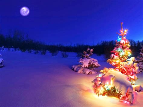 Get a 30.000 second festive animated christmas computer screensaver stock footage at 30fps. Mac OS X Wallpapers: Christmas Computer Wallpaper