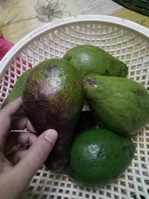 Campurkan ke dalam mangkuk adunan yang besar. Resepi Jus Avocado