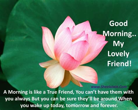 The best part of the day is the morning because every part of your body is awake; Royal Fun Break: 60 Best Good Morning SMS Messages With ...