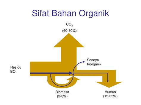 Maybe you would like to learn more about one of these? PPT - Dasar Hubungan Tanah Tanaman PowerPoint Presentation ...