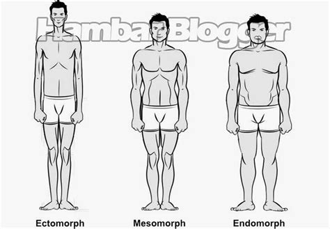 Gerakan dan pose dalam yoga mampu menggerakkan. Tipe Tubuh Manusia - Ectomorph, Endomorph, Mesomorph ...