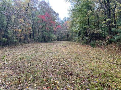 This court also administers oaths of office, issues marriage licenses, gun permits and performs certain administrative duties. 55 acres in Lamar County, Alabama