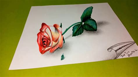 Over 90,360 white rose pictures to choose from, with no signup needed. Dibujando una rosa 3D | Drawing a rose 3D | HD - YouTube