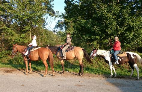 Hours may change under current circumstances Country Road Cabins (Hico, WV) - Resort Reviews ...