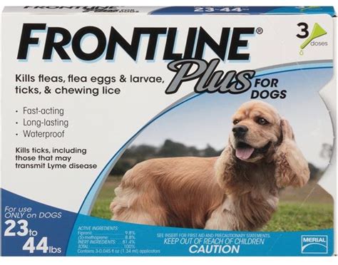 Cooler weather outside doesn't exactly imply that the little critters are supposed to burrow inside of far away trees and underneath the dying grass. Garlic For Dogs Fleas - Does It Really Work?