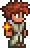 History   desktop version Sun Stone - The Official Terraria Wiki