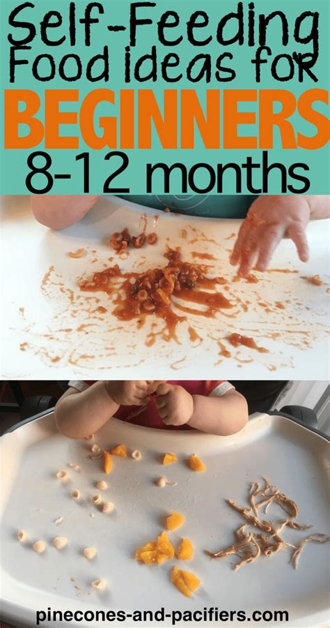 He is more active now, therefore, needs extra energy. Self-Feeding ideas for 8-12 Month Olds - Pinecones ...