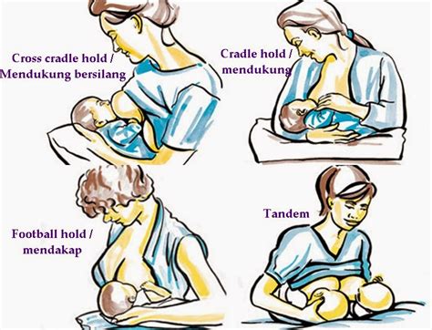 Antara aspek utama penyusuan susu ibu yang berjaya adalah tekapan mulut bayi. {Info Sihat} Teknik Penyusuan Susu Ibu Yang Betul ...