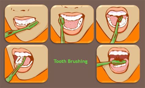 Dengan menggosok gigi secara rutin pada waktu tersebut, gigi dan gusi akan menjadi lebih bersih dan juga tidak mudah terserang bakteri yang menyebabkan berbagai keluhan pada gigi dan rongga mulut. Cara Menggosok / Menyikat Gigi Yang Baik | Ilmu ...