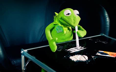Right here, we also have variety of images usable. Download Wallpapers, Download 1024x1024 kermit the frog cocaine 1680x1050 wallpaper Wallpaper ...