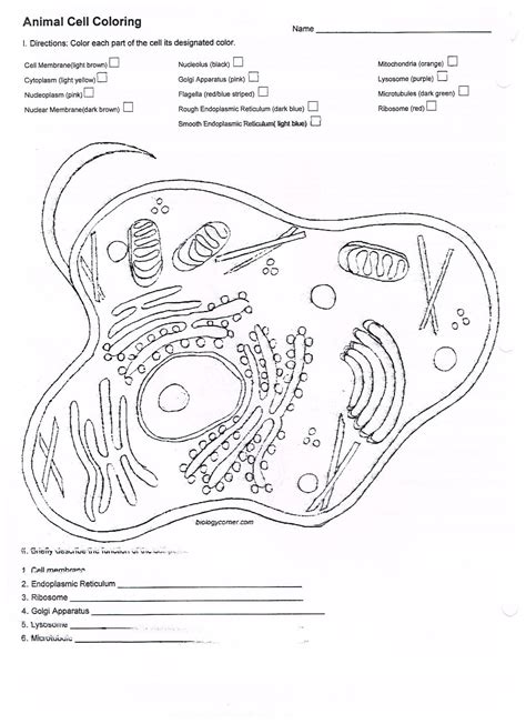 Use the following link to assist you: Coloring Page Animal Cell With Membrane Worksheet Answer ...