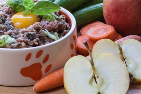 It has been proclaim passionately, that making a raw diet by grinding the whole chicken is the only way to make a natural feline diet. Shop Cat and Dog Food Grinders for the BARF Diet | LEM ...