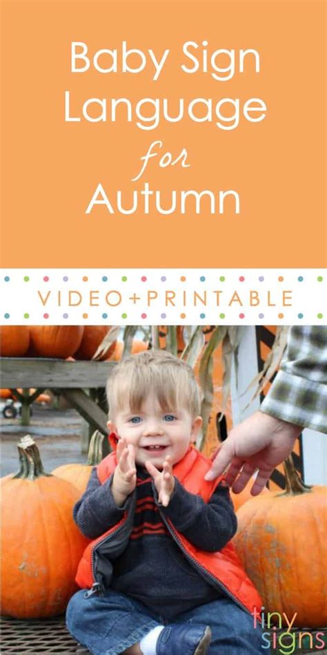 When your baby has learned the signs for eat, milk, and water, you can move to asking them to say please before fulfilling their request. Teach your little pumpkin how to say PUMPKIN in sign ...