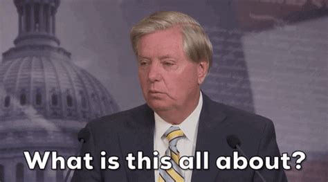 Share a gif and browse these related gif searches. Lindsey Graham Dc Statehood GIF by GIPHY News - Find ...