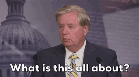 As chairman of the senate judiciary committee, south carolina sen. Lindsey Graham Dc Statehood GIF by GIPHY News - Find ...