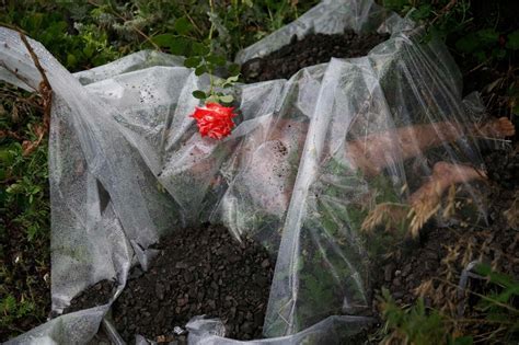 Lawyer says families of mh17 victims want compensation. MH17 bodies, black boxes handed over as EU mulls further ...