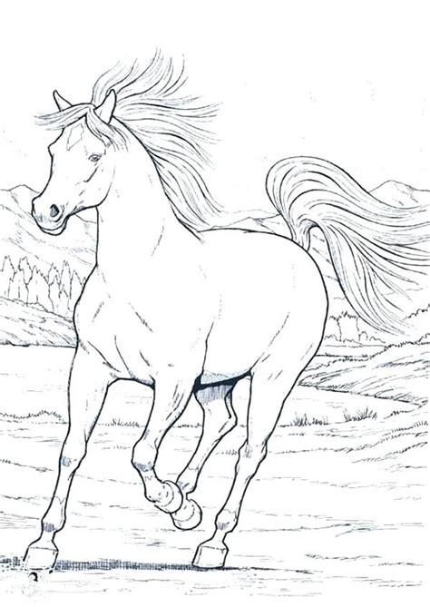 Coloring pages for horse are available below. Pin on Horse, Native American and Dreamcatcher Coloring Pages