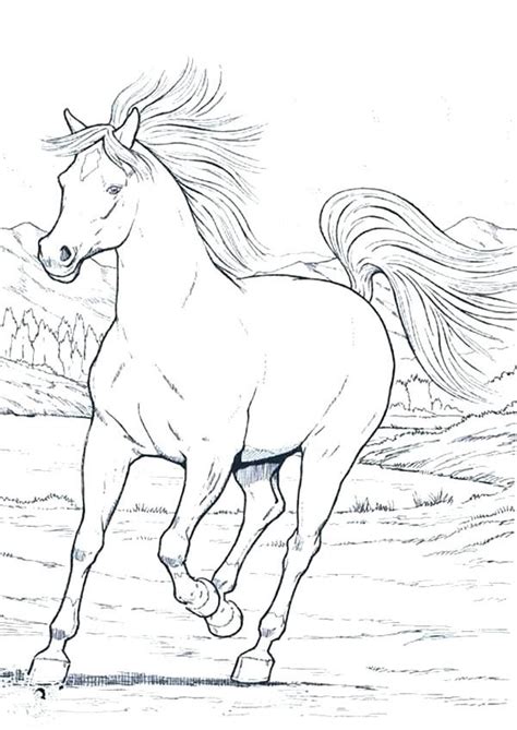 We've selected the most beautiful. detailed horse coloring pages free realistic horse ...