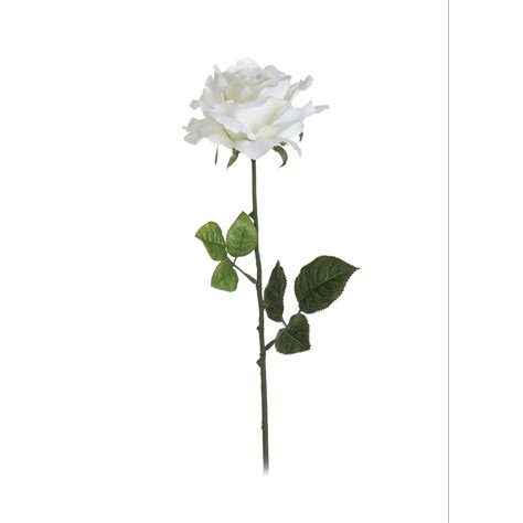 We stand by our guarantee of fresh quality flowers, professionally presented at fair competitive prices. Wilko Rose Single Stem Flower Cream | Wilko