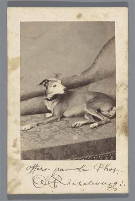 It was created by jozef israëls in 1834. Liggende hond, Richebourg, 1880 - 1910 | How to be a happy ...