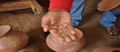 But you also never know what a seed hides until reputable seed banks perform multiple tests on their seeds to ensure good quality across their range of strains. Advantage Of Storing Seeds In Seed Banks : Summary Of Advantages And Disadvantages Of Various ...