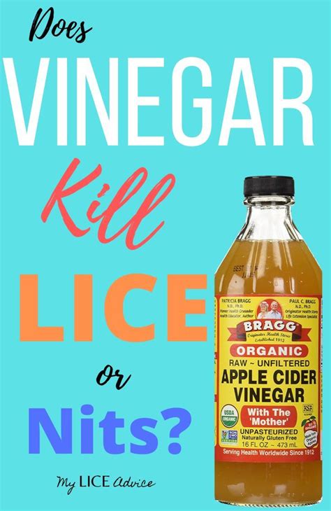 Adding apple cider vinegar to your hair care routine will help keep your scalp healthy by warding off bacteria and keeping a balanced ph level, said dr using acv occasionally will restore the acidity to the hair follicle. Apple Cider Vinegar for Lice: Does Vinegar Kill Lice or ...