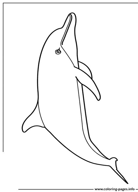 Dolphin coloring pages to print out. Cute Cartoon Dolphin Coloring Pages Printable