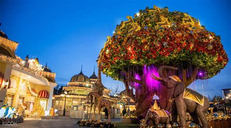 Untuk pakej musim sejuk 2019, klik di sini. Melihat Keindahan Bunga Tulip Di Everland Korea | Seputar ...