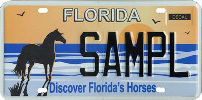 Do you need a license to ride a horse in Florida?